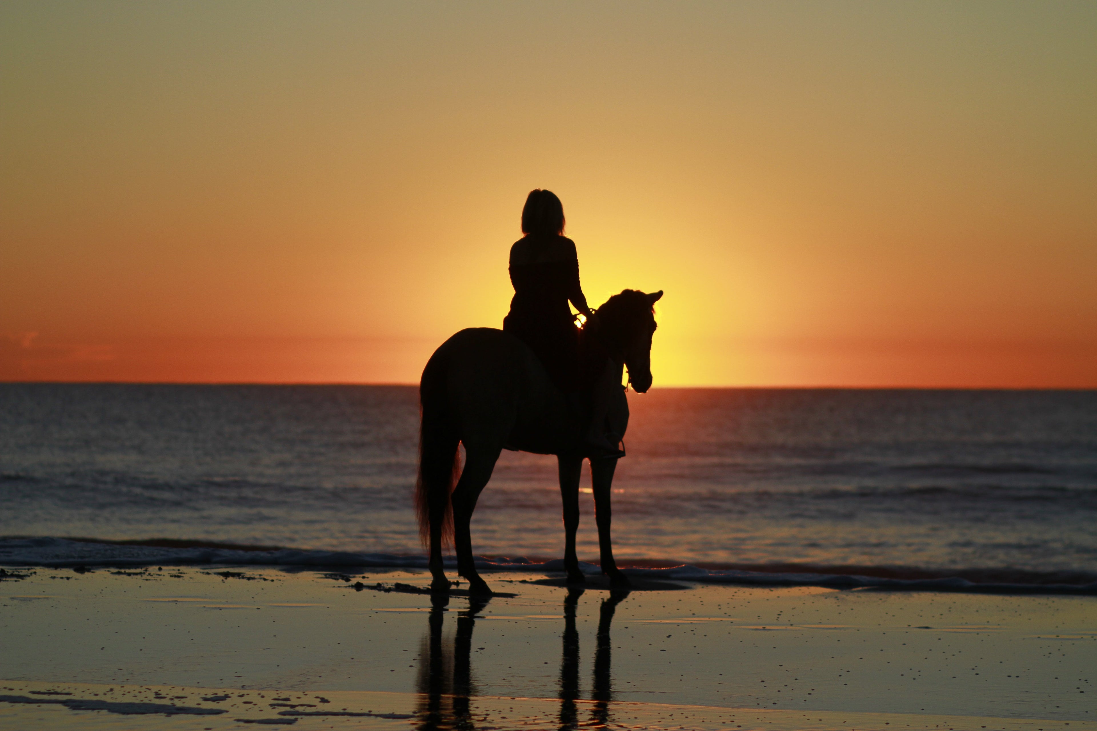 Horseback Riding