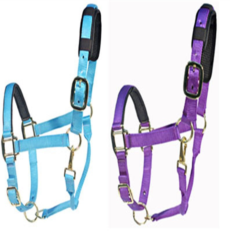 Horse Bridle Headgear