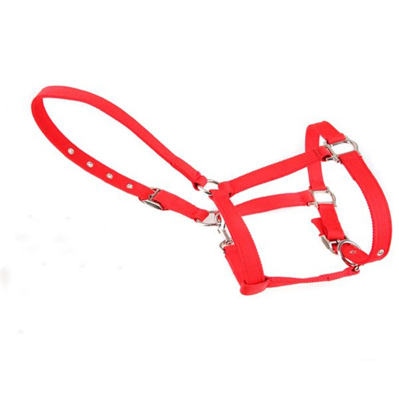 Horse Bridle Headgear
