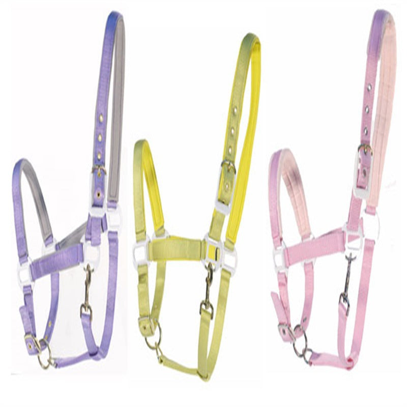 Horse Bridle Headgear