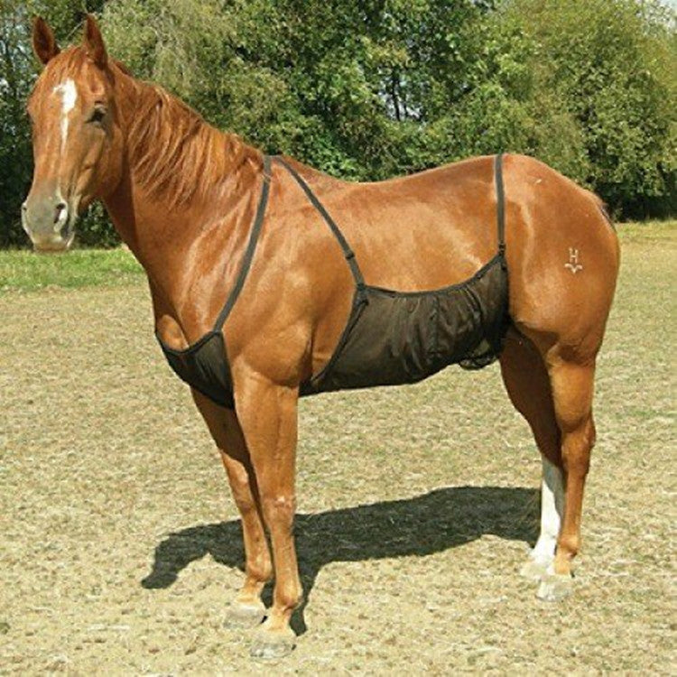 Horse Anti-scratch Protector