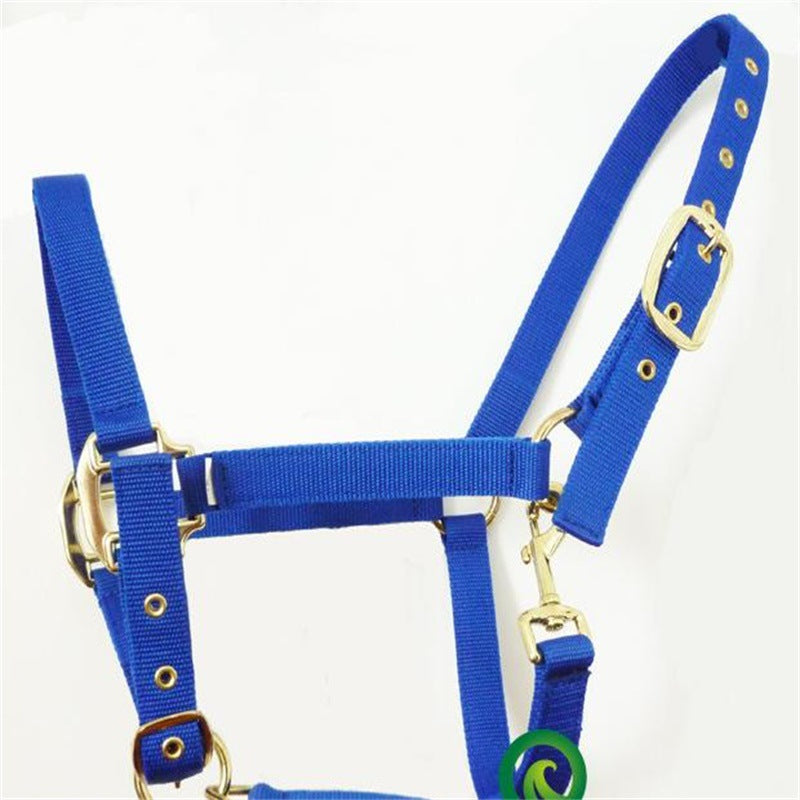 Horse Bridle Headgear